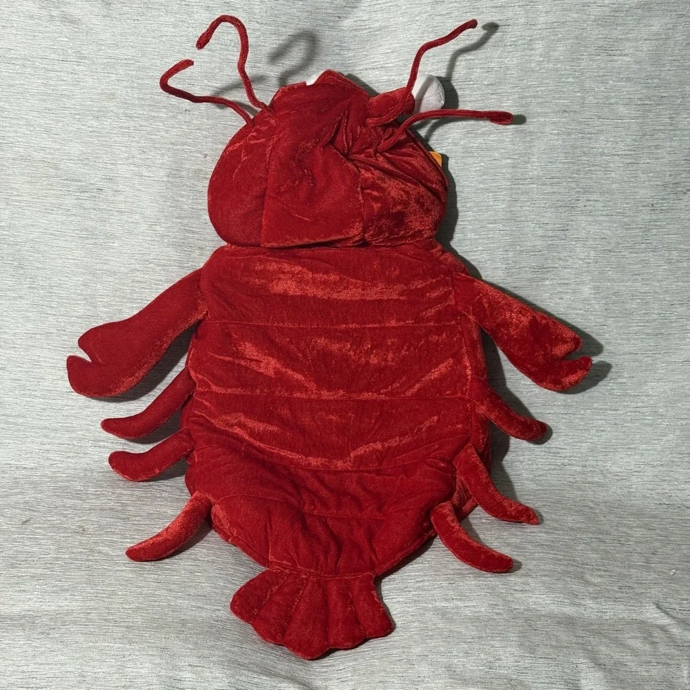 Skull & Bones Pet Dog Lobster Halloween‎ Costume Outfit Red Hooded Large